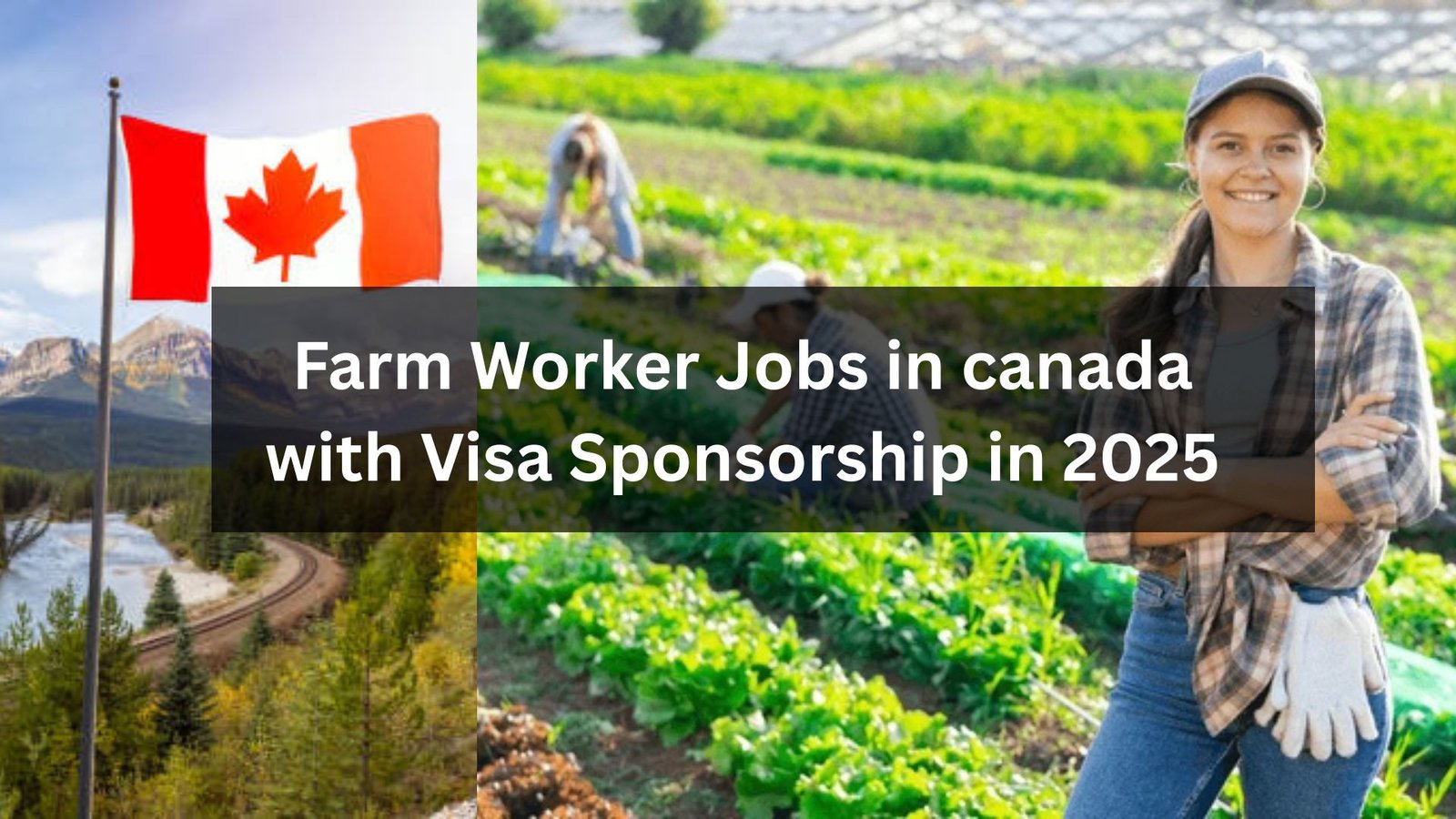 Farm Worker Jobs in Canada with Visa Sponsorship in 2025 Explore farm worker opportunities in Canada for 2025 with visa sponsorship available. No experience required—seasonal and full-time positions offer competitive pay, housing, and support with immigration processes. Start your journey to work and live in Canada today!