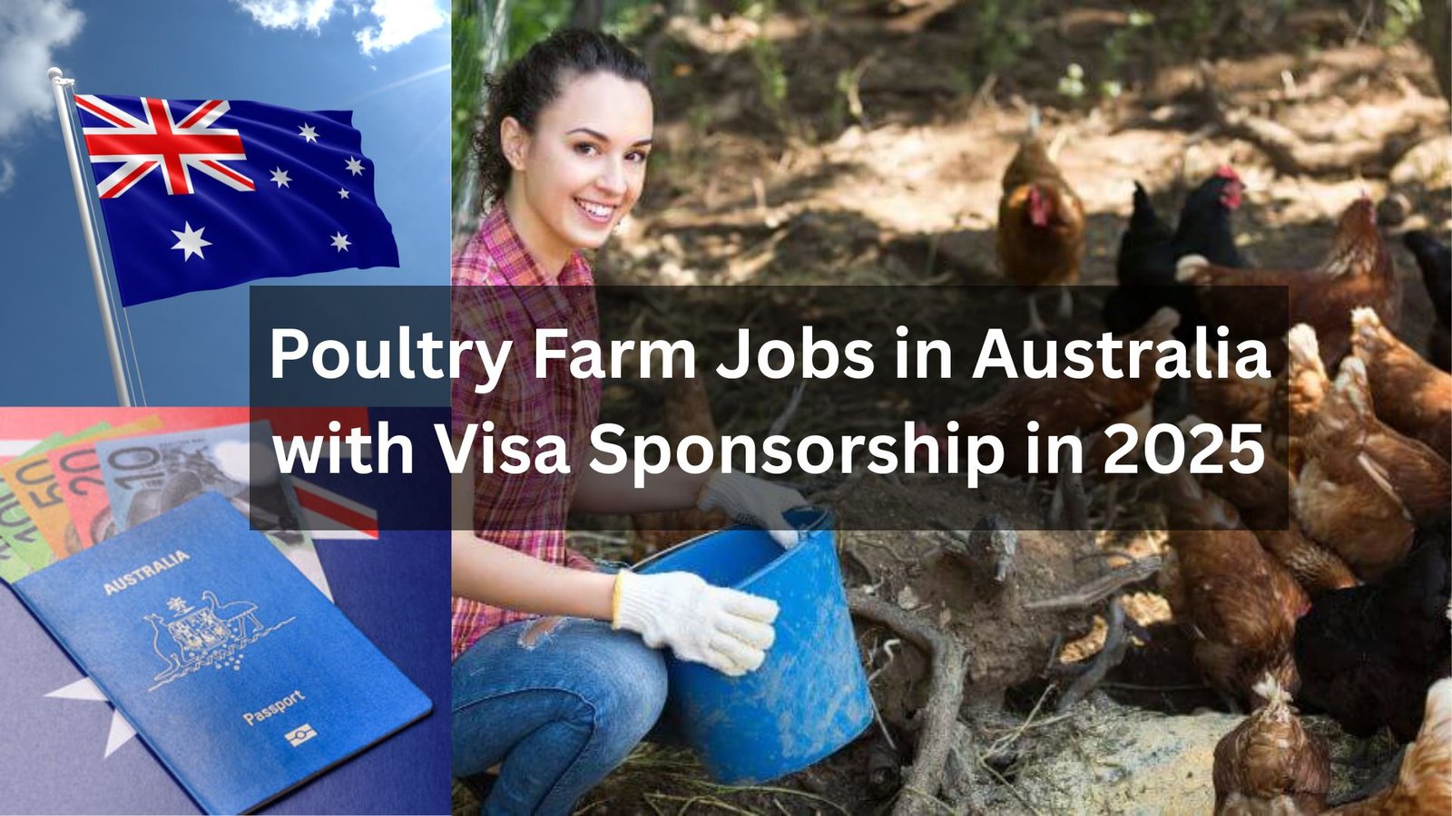 Explore exciting Poultry Farm Jobs in Australia offering visa sponsorship. Ideal for those seeking agricultural work with relocation support and career opportunities in a growing industry.