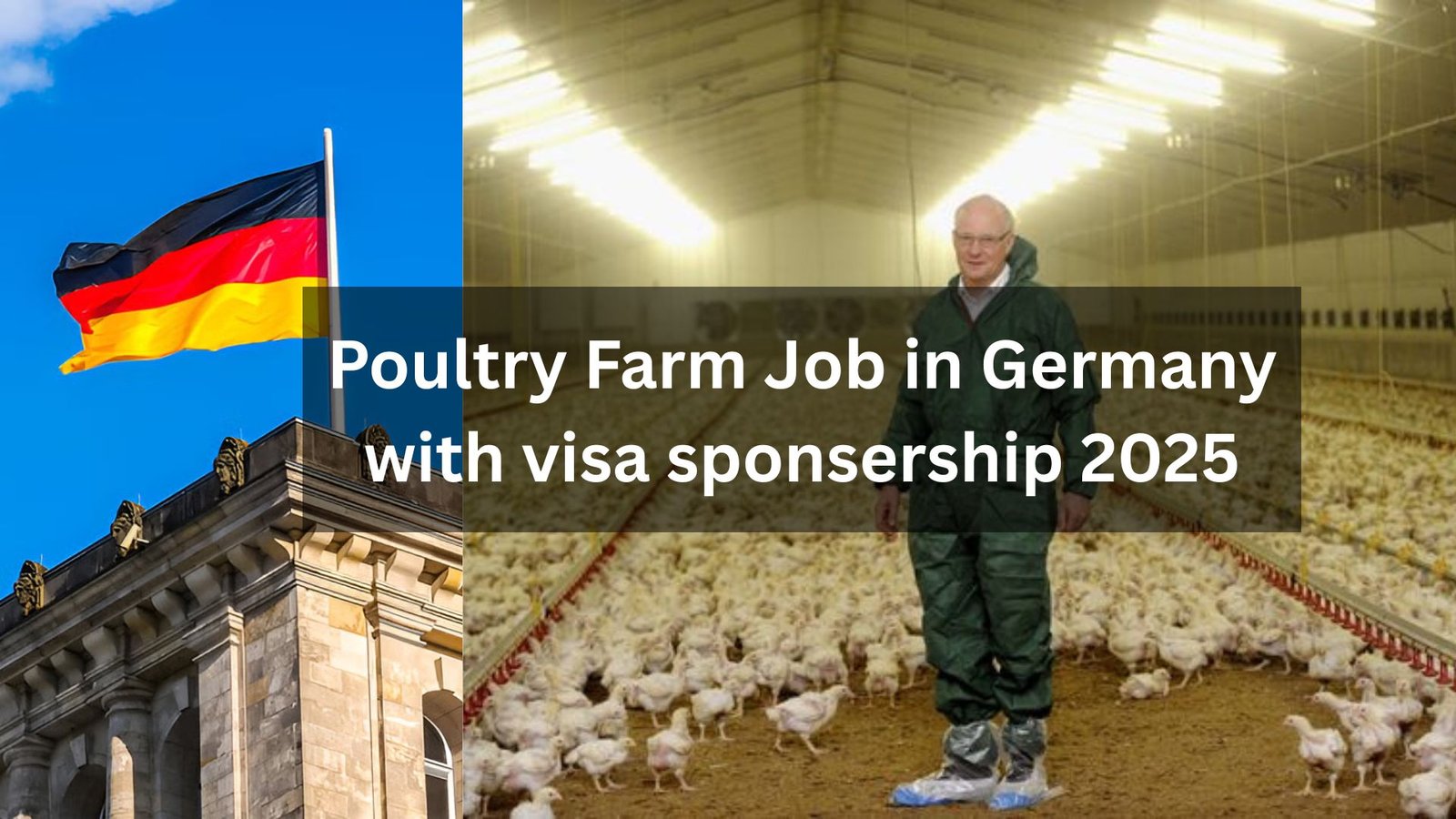 Germany Poultry Farm Jobs with Visa Sponsorship 2025 – Apply Now!" Exciting job opportunities in Germany's poultry farming sector with visa sponsorship available for 2025. Start your application today!