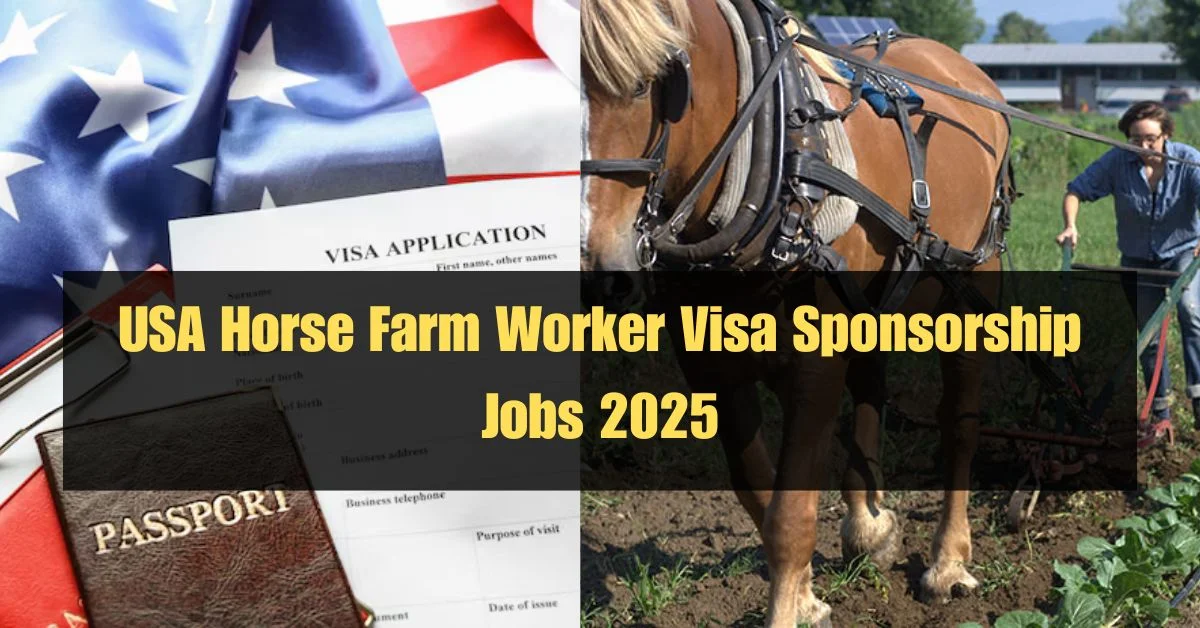 Explore exciting opportunities as a horse farm worker in the USA with visa sponsorship available. Ideal for individuals passionate about animal care and farm work.
