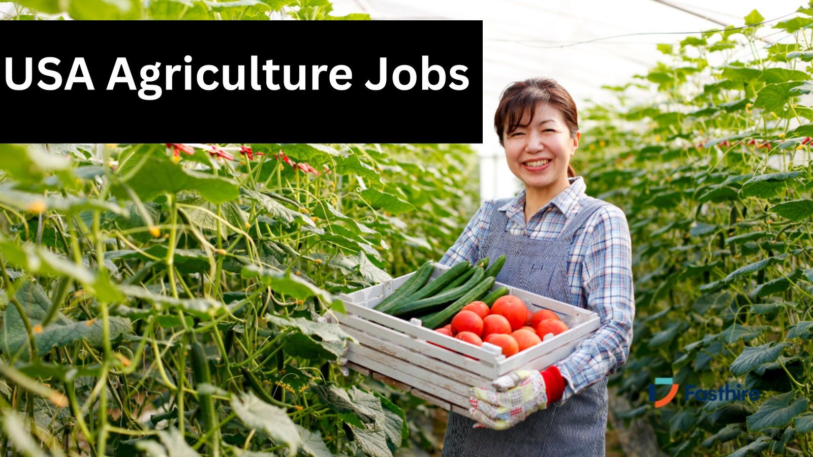 Explore exciting USA agriculture jobs for international workers offering visa sponsorship, competitive salaries, and valuable work experience. Learn about farming, harvesting, and livestock opportunities across America and how to apply for agricultural jobs in the U.S. legally.