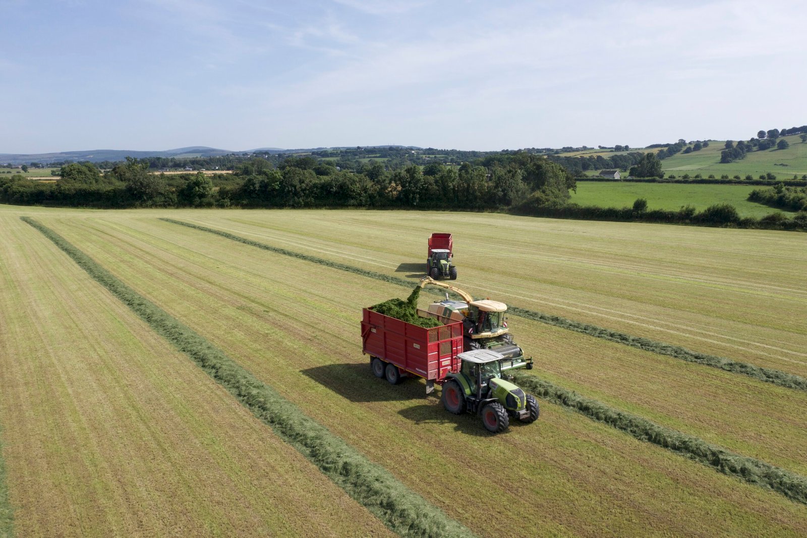 Ireland Farm Helper Jobs with Free Accommodation – Apply Now! 🇮🇪 Discover exciting farm helper opportunities across Ireland with free housing provided! Perfect for international applicants seeking hands-on outdoor work, cultural exchange, and a peaceful countryside lifestyle. No experience? No worries — full training is often included. Enjoy stable employment, friendly communities, and a chance to explore Ireland’s stunning rural landscapes while saving on living costs. Apply today and start your Irish farm adventure!