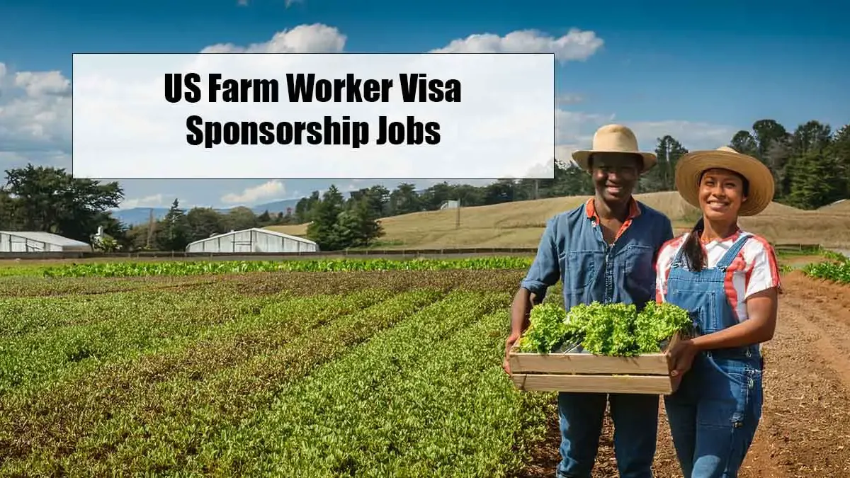 Top USA Farm Worker Job Opportunities for Foreign Workers explores high-demand agricultural jobs across the United States, including crop farming, dairy work, and seasonal harvesting. The guide highlights visa-sponsored roles, expected wages, job requirements, and application tips to help foreign workers find legal, well-paid farm jobs in the USA.