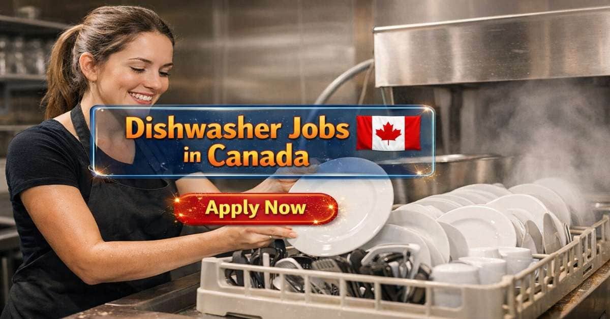 Canada Dishwasher Job Opportunities for Foreign Workers offer a great entry point into the Canadian hospitality industry. These roles are in high demand across restaurants, hotels, and catering services, often providing competitive wages, flexible shifts, and the possibility of visa sponsorship. It’s an excellent opportunity for foreign workers seeking stable employment and a pathway to gain Canadian work experience.